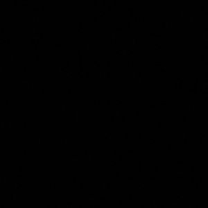 Meet your Posher, Jesus